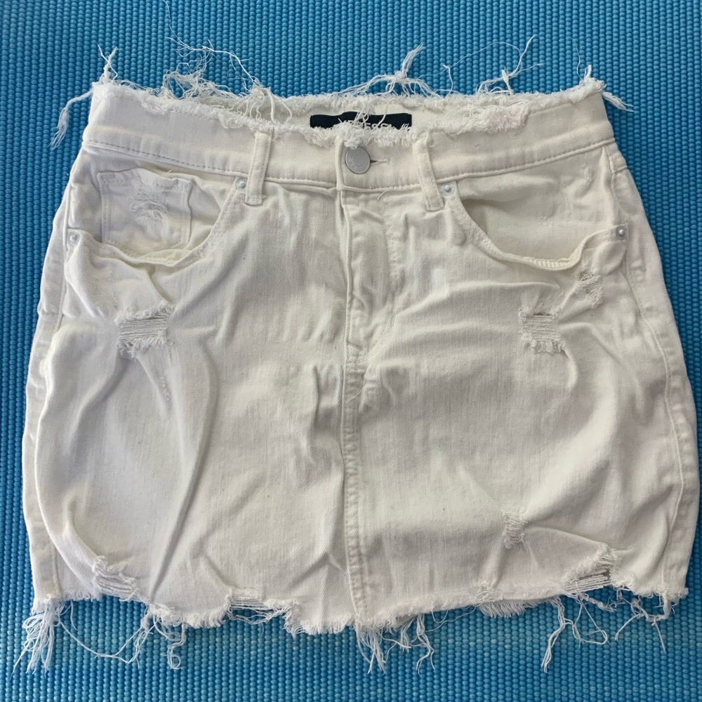 Express skirt